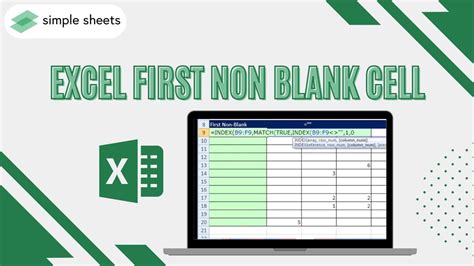 Excel Non-Blank Cells Example 4