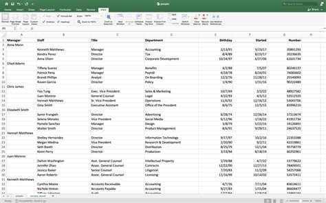 Excel Organization