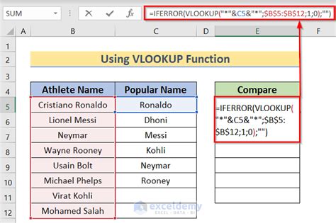 Excel Partial Match Example