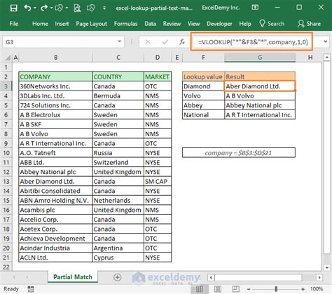 Excel Partial Text Match Example 2