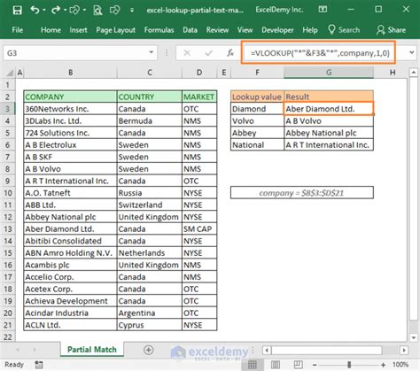 Excel partial text search example