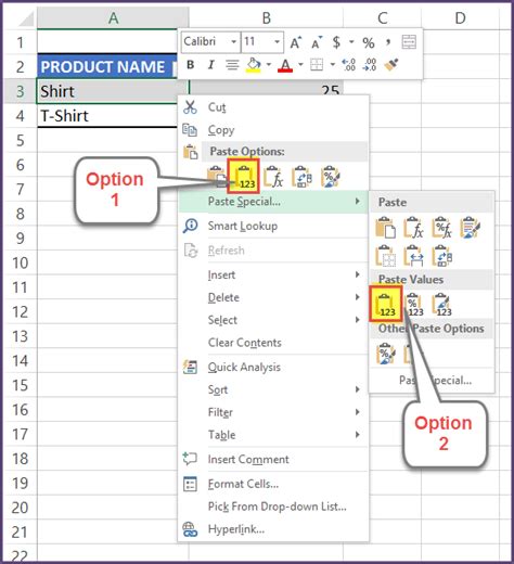 Excel Paste Data Solutions