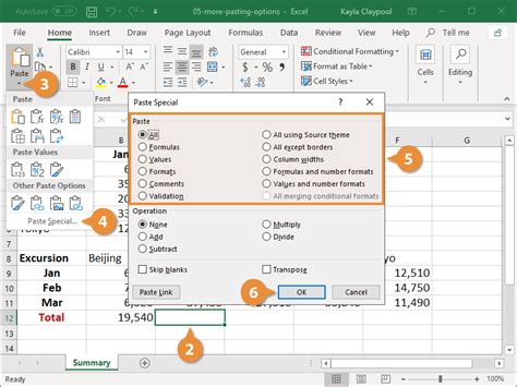 Paste Special in Excel