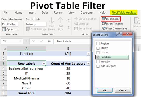 Excel PivotTable Filter