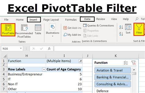 Excel PivotTable Filter example