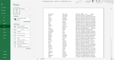 Excel print preview