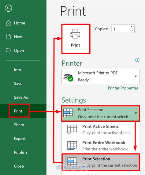 Excel print selection