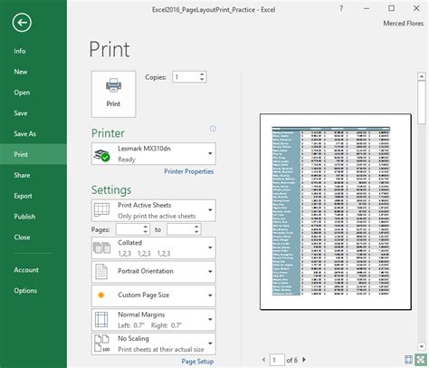 Excel print settings pane