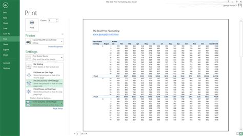 Excel printing options