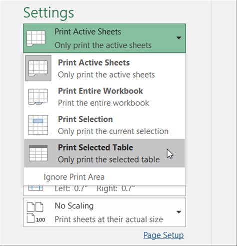 Excel printing options