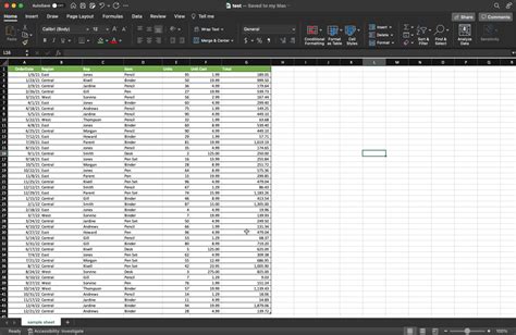 Excel Protect Cells Feature