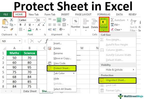 Excel Protected Sheet Copy