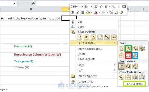 Excel Range Paste Special