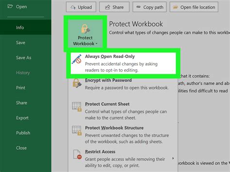 Excel Read-Only Mode