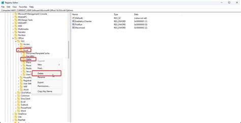 Excel Registry Settings