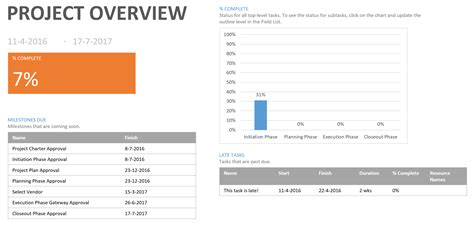 Excel Report from MS Project