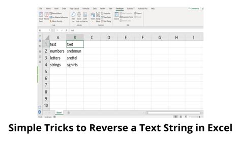 Excel reverse text add-in