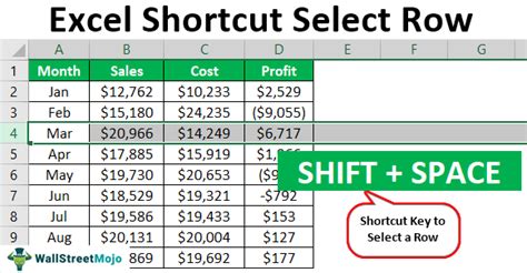 Excel Select Multiple Rows Shortcuts Gallery