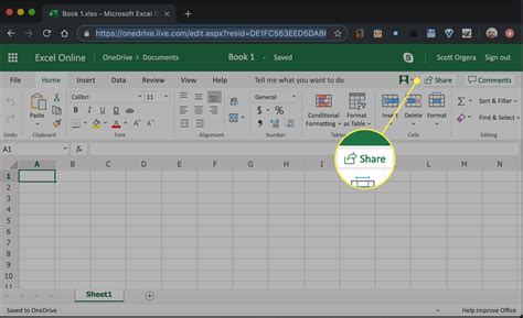 Excel Sharing Options