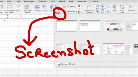 Capture Image of Excel Sheet