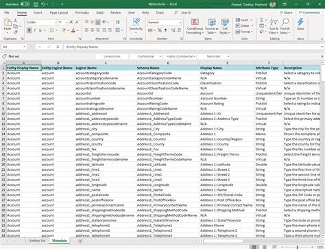 Excel sheet with metadata