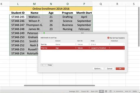 Excel Sorting Options