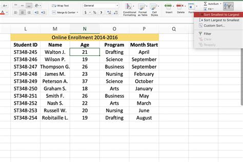 Excel sorting example 5