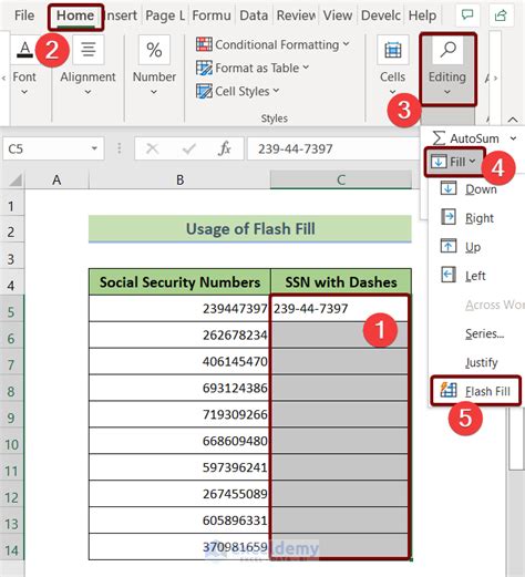 Excel Addon for SSN