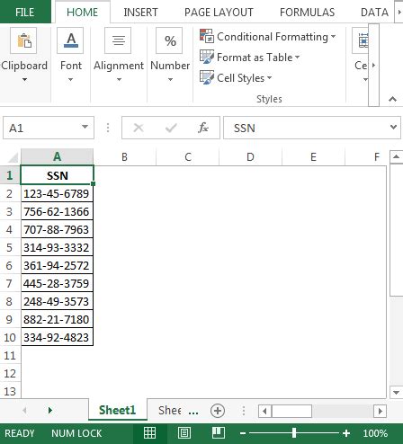 SSN format in Excel