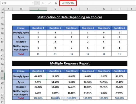 Excel Survey Response