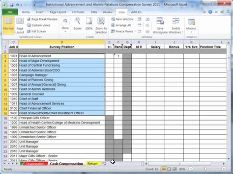 Excel Survey Variations