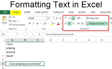 Excel Text Format