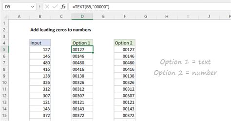 Use the TEXT Function to Preserve Leading Zeros