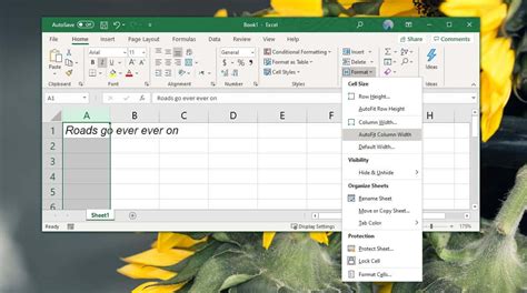 Excel text overflow