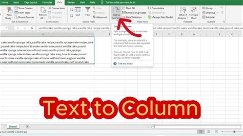 Image of Excel Text to Columns feature