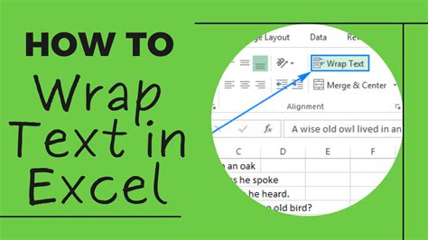 Excel Text Wrapping Issue 3