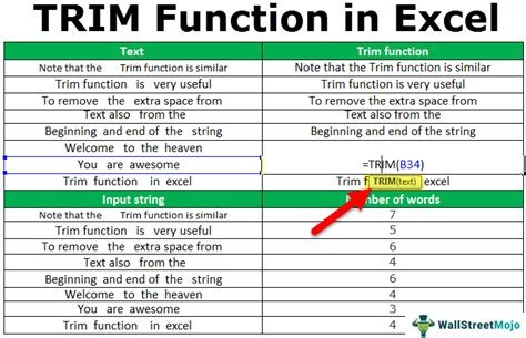 Excel TRIM function error