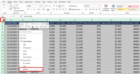 Excel unhide feature