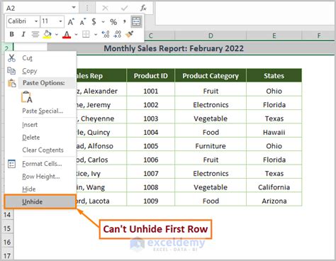 Excel Unhide Issue