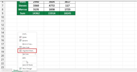 Excel Unprotect Sheet