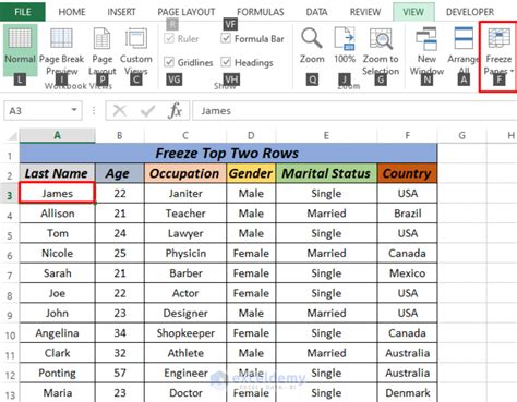 Excel VBA Freeze Top Row Example