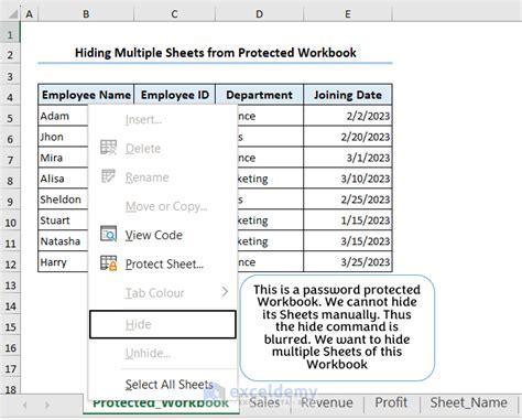 Excel VBA Worksheet Hiding Methods 5