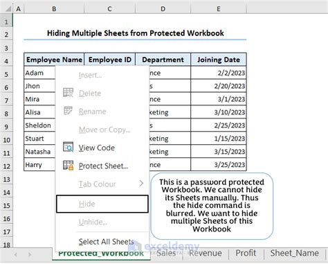 Excel VBA Worksheet Hiding Methods