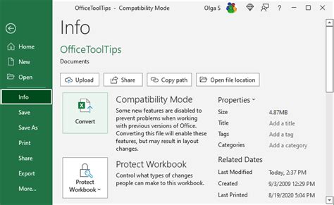 Excel version compatibility feature