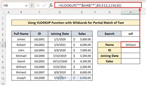 Excel Vlookup with Partial Match Example