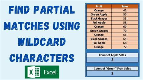 Excel Wildcard Character Reference