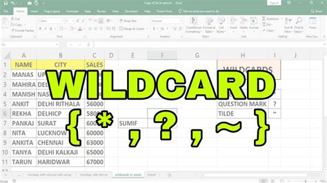 Excel Wildcard Characters