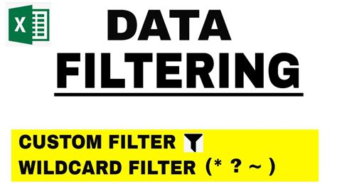 Excel Wildcard Data Filtering