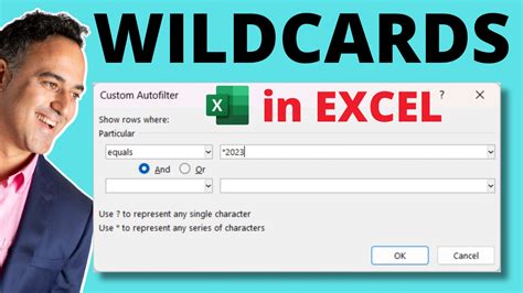 Excel Wildcard Shortcuts