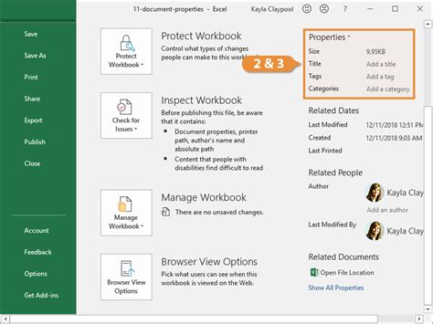 Excel Workbook Properties on Mac